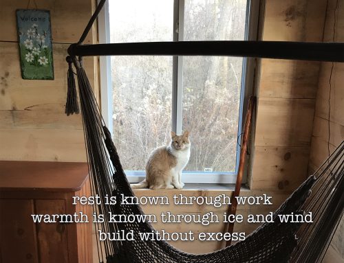 Brew Haiku #12